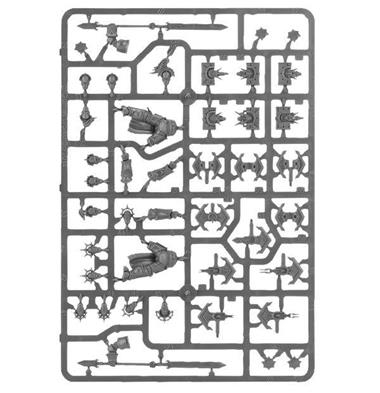 STORMCAST ETERALS PALADINS | 5011921061198 | GAMES WORKSHOP