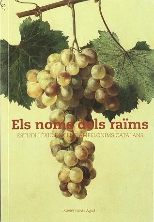 ELS NOMS DELS RAIMS | 9788493240547 | FAVA I AGUD, XAVIER