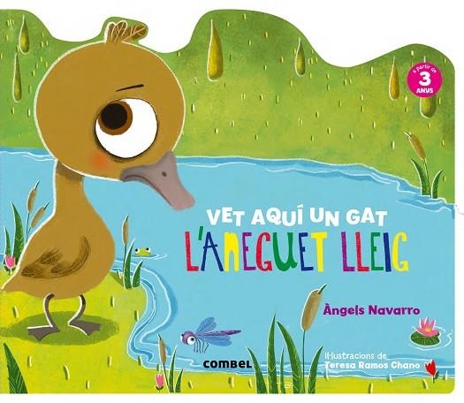 VET AQUI UN GAT L'ANEGUET LLEIG | 9788491010654 | ANGELS NAVARRO