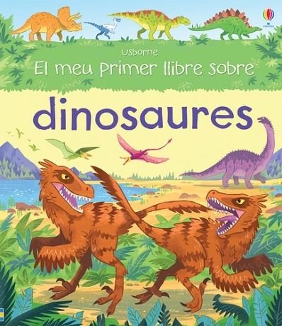 EL MEU PRIMER LLIBRE SOBRE DINOSAURES | 9781474919920 | VVAA