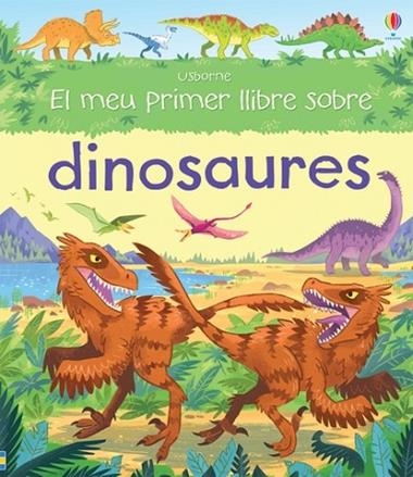 EL MEU PRIMER LLIBRE SOBRE DINOSAURES | 9781474919920 | VVAA