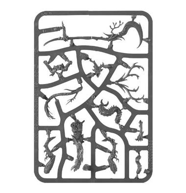 SYLVANETH BRANCHWYCH | 5011921996520 | GAMES WORKSHOP