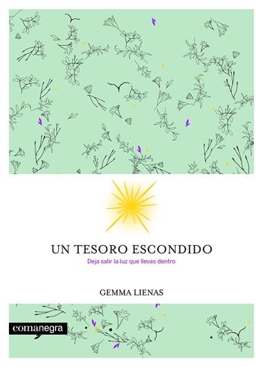 UN TESORO ESCONDIDO | 9788416605354 | GEMMA LIENAS