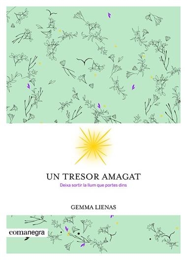 UN TRESOR AMAGAT | 9788416605347 | GEMMA LIENAS