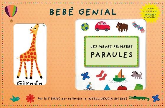 BABY TRAINING BEBE GENIAL | 9788415807926 | VVAA