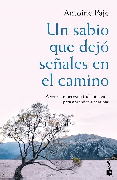 UN SABIO QUE DEJO SEÑALES EN EL CAMINO | 9788408166382 | ANTOINE PAJE