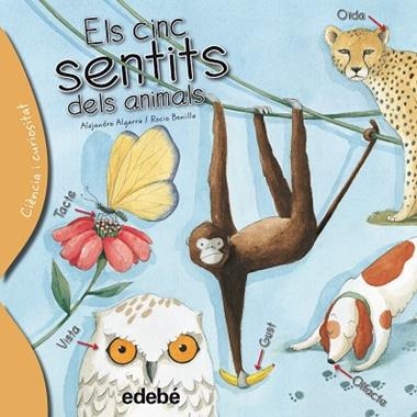 ELS CINC SENTITS DELS ANIMALS | 9788468329635 | ALEJANDRO ALGARRA & ROCIO BONILLA