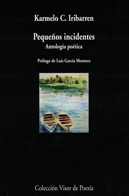 PEQUEÑOS INCIDENTES: ANTOLOGÍA POÉTICA | 9788498959789 | KARMELO IRRIBAREN