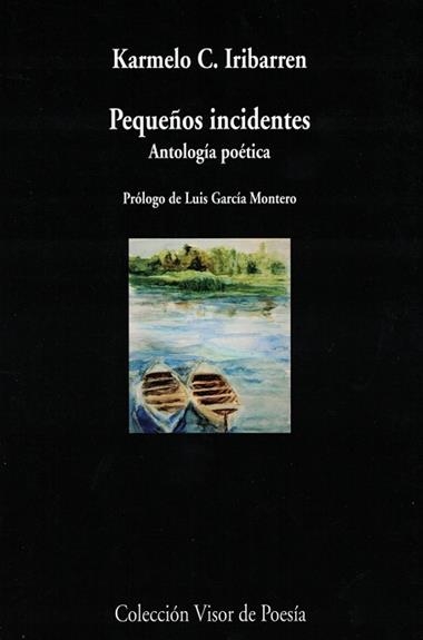 PEQUEÑOS INCIDENTES: ANTOLOGÍA POÉTICA | 9788498959789 | KARMELO IRRIBAREN