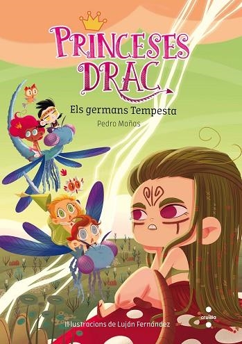 PRINCESES DRAC 05 ELS GERMANS TEMPESTA | 9788466143769 | PEDRO MAÑAS & LUJAN FERNANDEZ