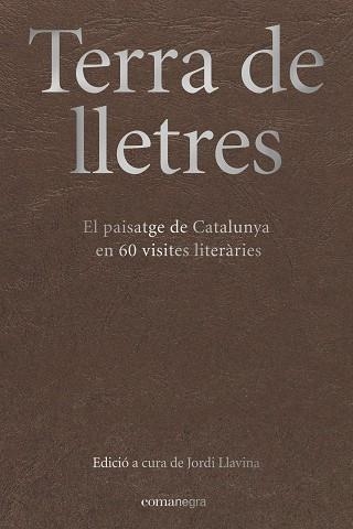 TERRA DE LLETRES | 9788417188283 | JORDI LLAVINA