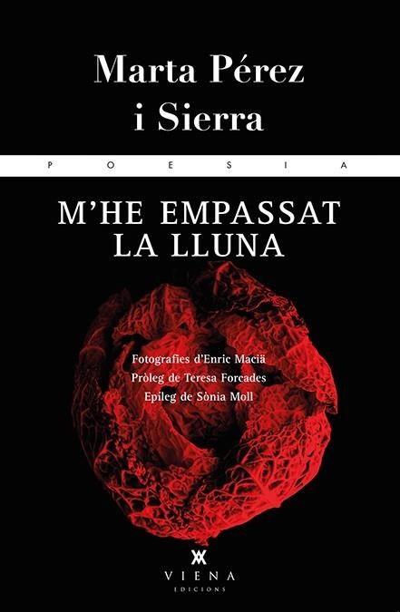 M'HE EMPASSAT LA LLUNA | 9788483308264 | MARTA PEREZ I SIERRA