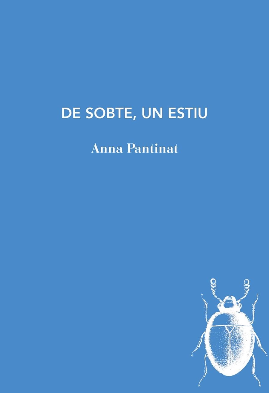 DE SOBTE UN ESTIU | 9788494289743 | ANNA PANTINAT HERNANDEZ