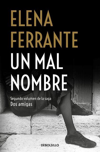 DOS AMIGAS 02 UN MAL NOMBRE | 9788466344364 | ELENA FERRANTE