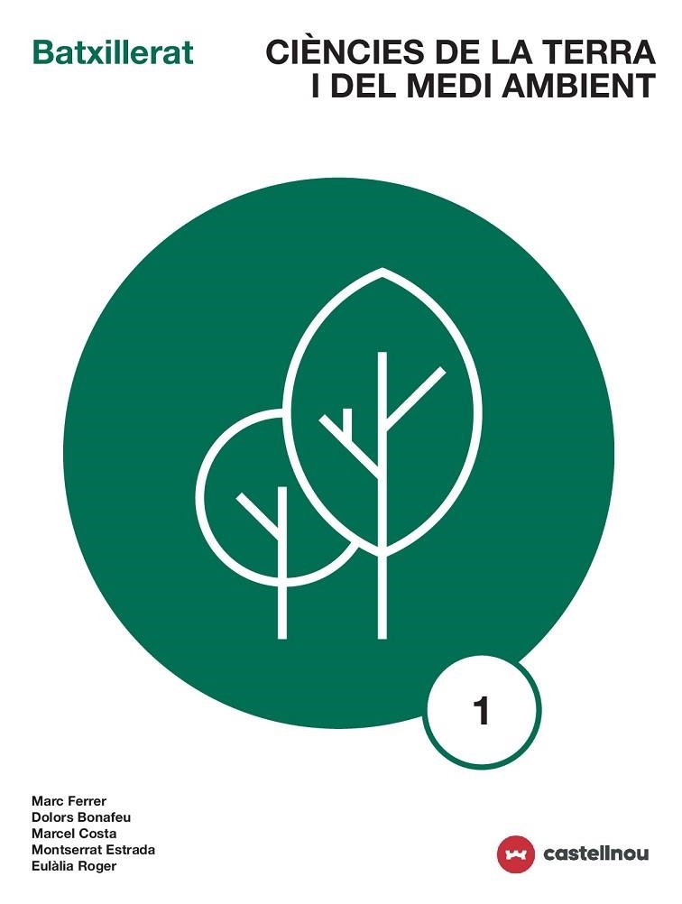 CIENCIES DE LA TERRA I DEL MEDI AMBIENT 1 BATXILLERAT | 9788417406189 | VVAA