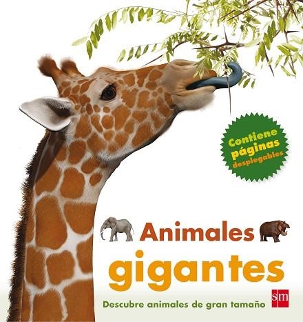Animales gigantes | 9788467553192 | Marie Greenwood