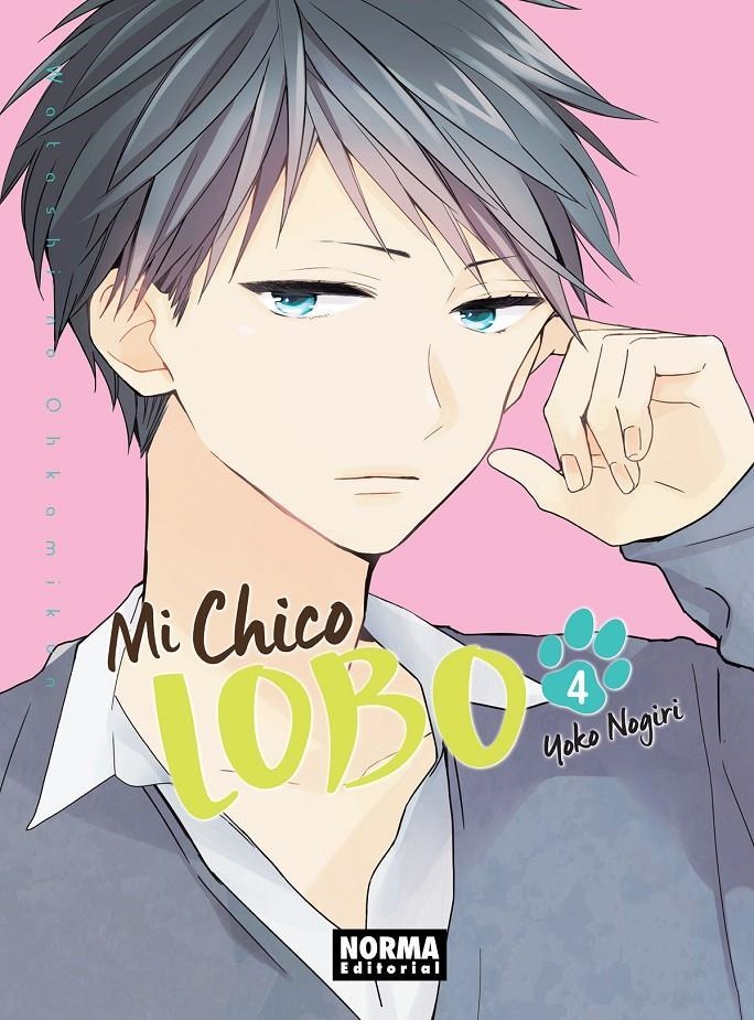 MI CHICO LOBO 04 | 9788467930535 | YOKO NOGIRI