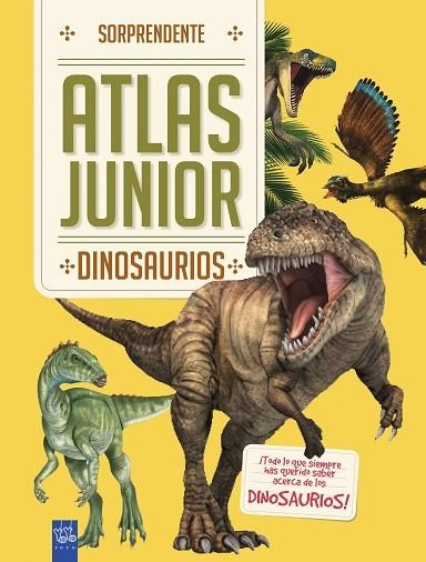 DINOSAURIOS | 9788408184683 | YOYO