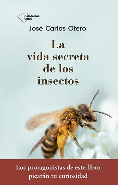 LA VIDA SECRETA DE LOS INSECTOS | 9788417376789 | JOSE CARLOS OTERO