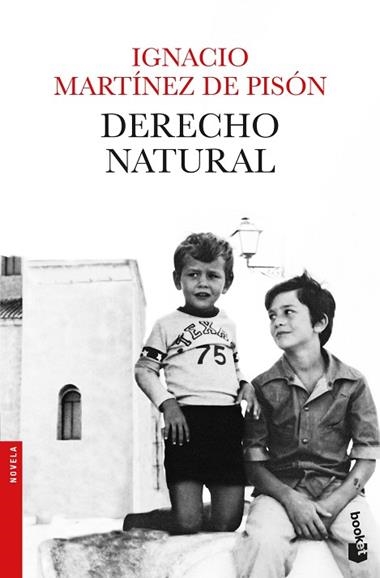 DERECHO NATURAL | 9788432234279 | IGNACIO MARTINEZ DE PISON
