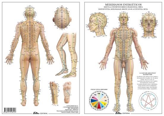 MERIDIANOS ENERGETICOS | 9788494518546 | TUTUS EDITORIAL