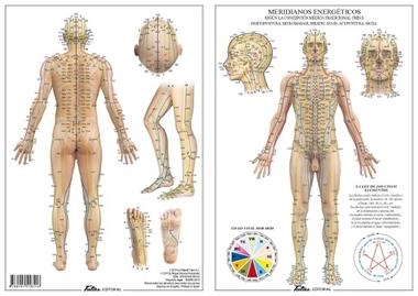 MERIDIANOS ENERGETICOS | 9788494518546 | TUTUS EDITORIAL