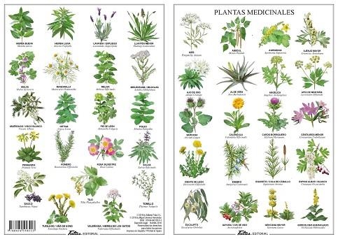 PLANTAS MEDICINALES | 9788494518553 | TUTUS EDITORIAL