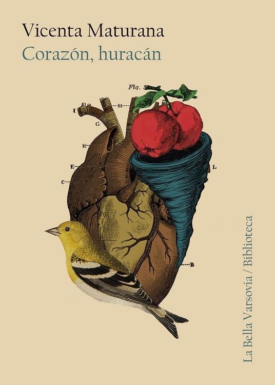 CORAZON HURACAN | 9788494841217 | VICENTA MATURANA