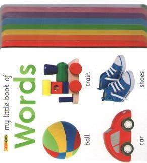 MY LITTLE BOOK OF WORDS | 9788491676249 | PANINI