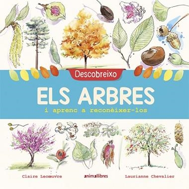DESCOBREIXO ELS ARBRES I APRENC A RECONEIXER-LOS | 9788417599195 | CLAIRE LECOEUVRE & LAURIANNE CHEVALIER