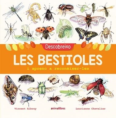 DESCOBREIXO LES BESTIOLES I APRENC A RECONEIXER-LES | 9788417599201 | VICENT ALBOUY & LAURIANNE CHEVALIER