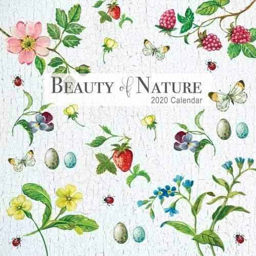 CALENDARI DE PARET BEAUTY OF NATURE 2020 | 9781788389396 | VV.AA.