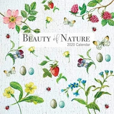CALENDARI DE PARET BEAUTY OF NATURE 2020 | 9781788389396 | VV.AA.