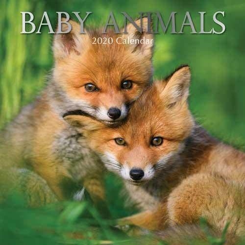 CALENDARI DE PARET BABY ANIMALS 2020 | 9781789780697 | VV.AA.