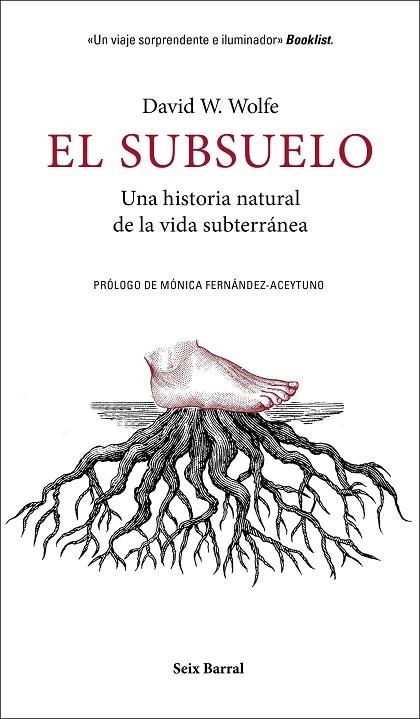EL SUBSUELO | 9788432235603 | DAVID W. WOLFE