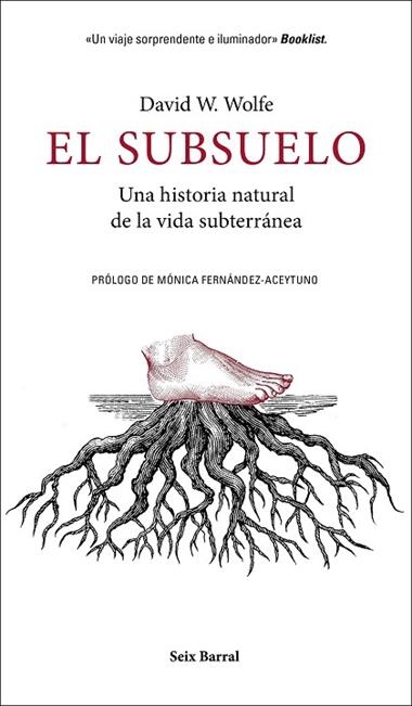 EL SUBSUELO | 9788432235603 | DAVID W. WOLFE