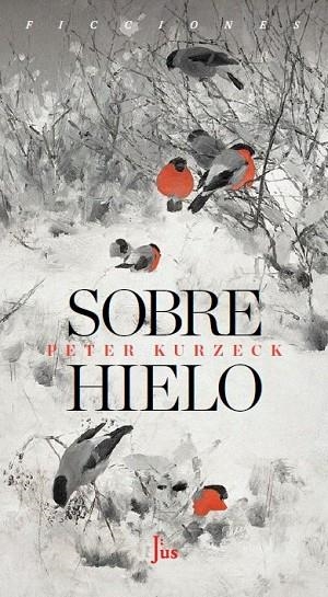 SOBRE HIELO | 9788417893941 | PETER KURZECK
