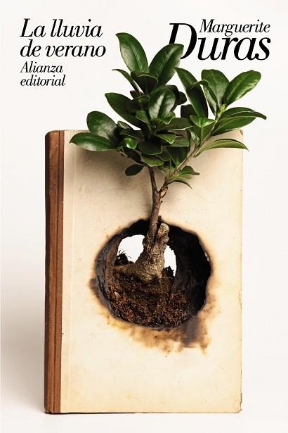 La lluvia de verano | 9788491814962 | Marguerite Duras
