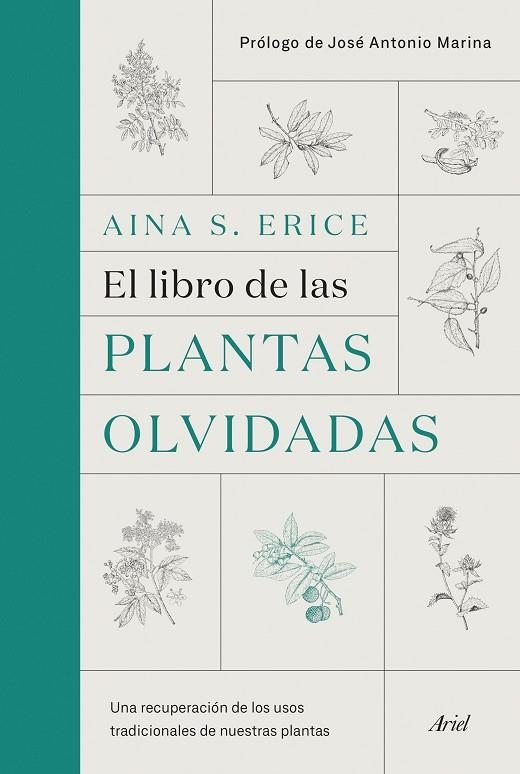EL LIBRO DE LAS PLANTAS OLVIDADAS | 9788434431461 | AINA S. ERICE