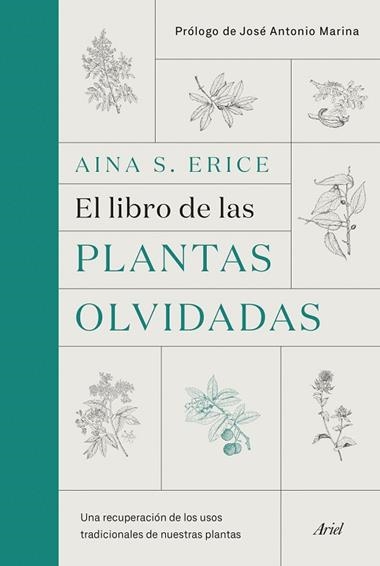 EL LIBRO DE LAS PLANTAS OLVIDADAS | 9788434431461 | AINA S. ERICE