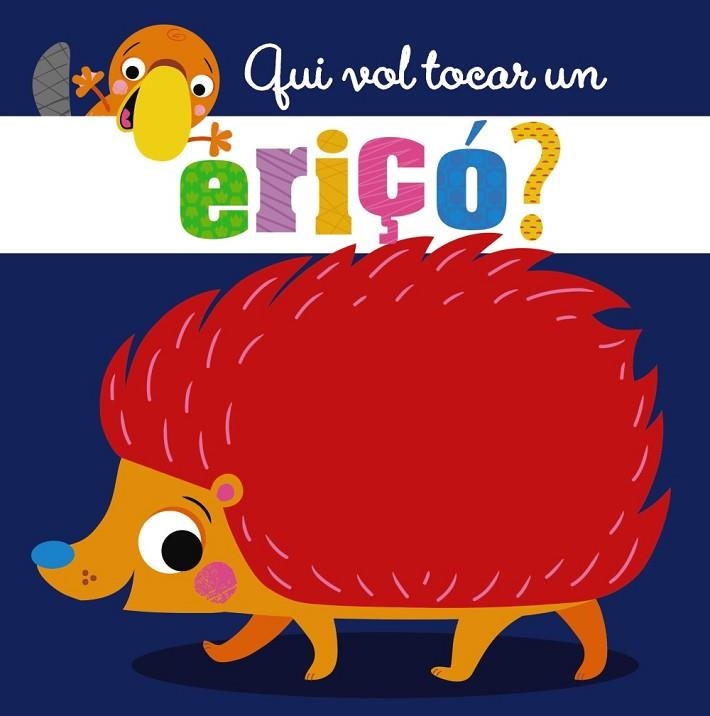 QUI VOL TOCAR UN ERIÇO? | 9788499062921 | VVAA