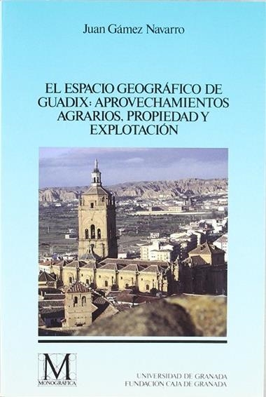 ESPACIO GEOGRAFICO DE GUADIX | 9788433821171 | GAMEZ NAVARRO, JUAN