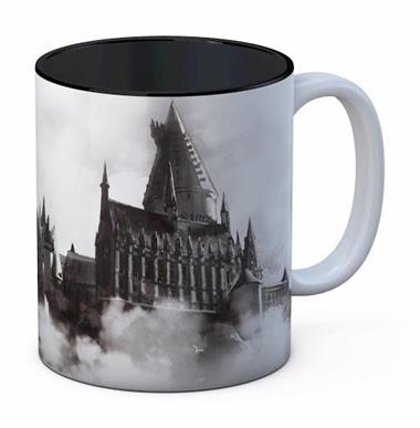 TASSA DE CERAMICA HARRY POTTER HOGWARTS | 8435450206696 | SD