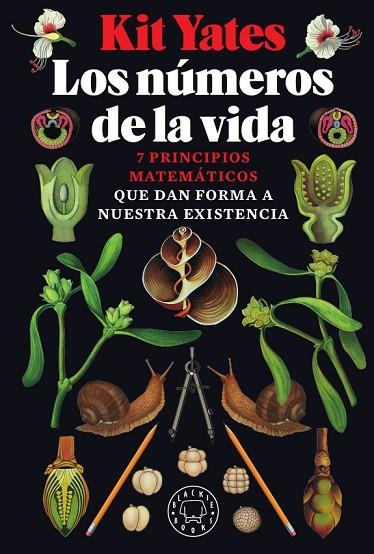 LOS NUMEROS DE LA VIDA | 9788417552947 | KIT YATES
