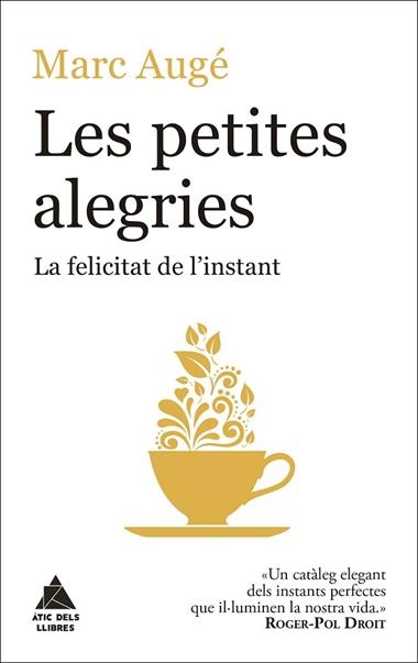 LES PETITES ALEGRIES | 9788416222964 | MARC AUGE