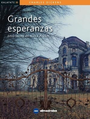 Grandes esperanzas | 9788417563332 | VV.AA.