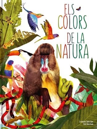 ELS COLORS DE LA NATURA | 9788413342320 | VALTER FOGATO & ISABELLA GROTT