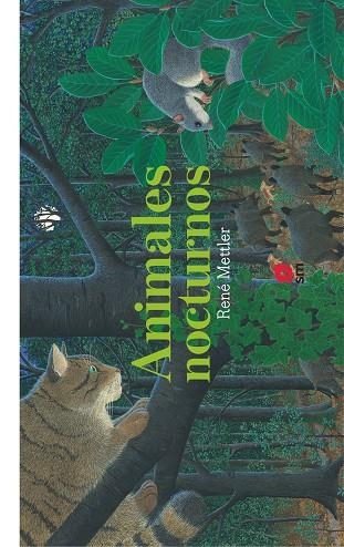 Los animales nocturnos | 9788413185439 | René Mettler