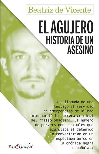 El agujero Historia de un asesino | 9788417847470 | BEATRIZ DE VICENTE