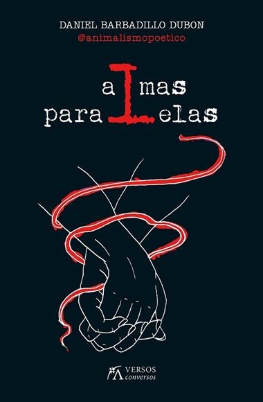 Almas paralelas | 9788417828103 | Daniel Barbadillo Dubón